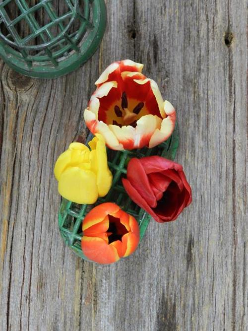 FALL PACK  SEASONAL TULIPS